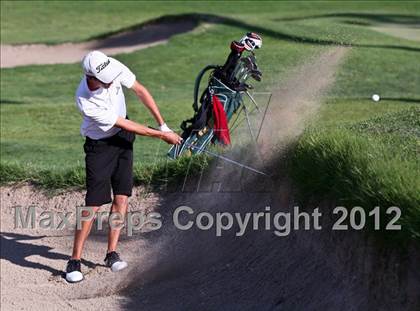 Thumbnail 1 in CIF Central Section Area Golf Championships photogallery.