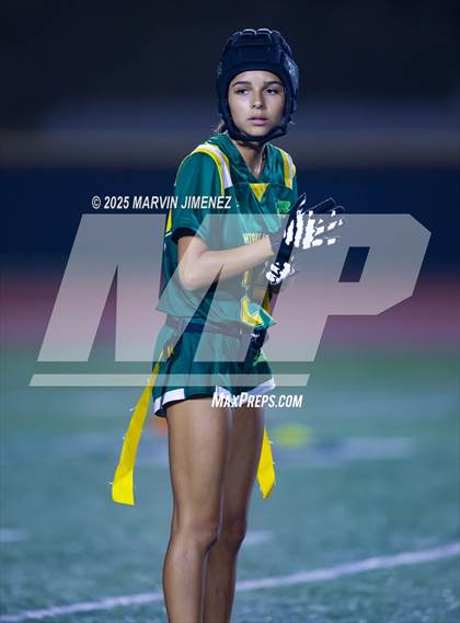 Thumbnail 2 in Oak Park @ Royal photogallery.