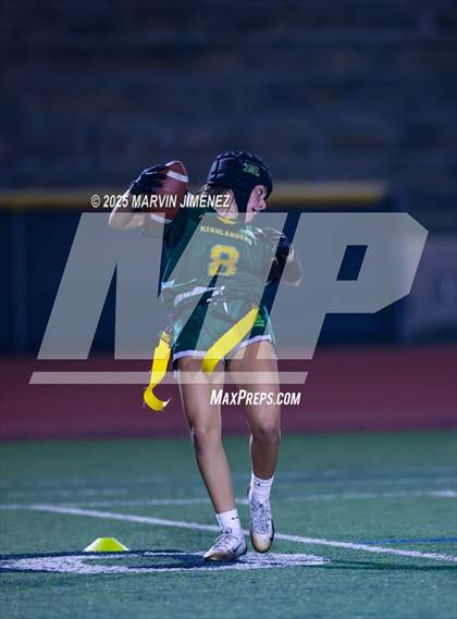 Thumbnail 3 in Oak Park @ Royal photogallery.