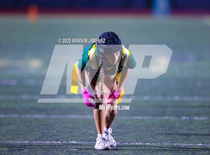 Thumbnail 2 in Oak Park @ Royal photogallery.