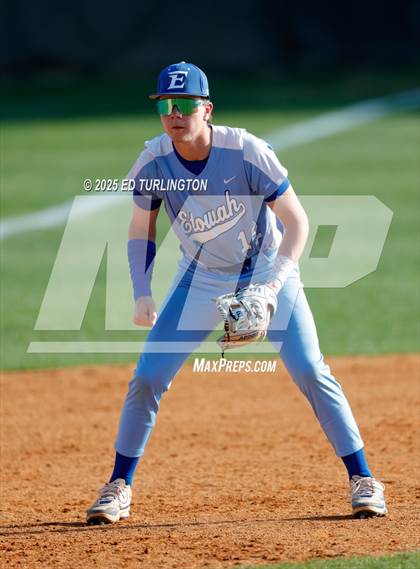 Thumbnail 1 in Walton @ Etowah photogallery.