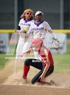 Photo from the gallery "St. Francis @ Franklin"