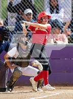 Photo from the gallery "St. Francis @ Franklin"