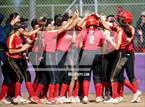 Photo from the gallery "St. Francis @ Franklin"