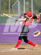 Photo from the gallery "St. Francis @ Franklin"