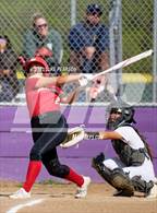 Photo from the gallery "St. Francis @ Franklin"