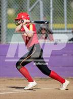 Photo from the gallery "St. Francis @ Franklin"