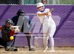 Photo from the gallery "St. Francis @ Franklin"