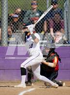 Photo from the gallery "St. Francis @ Franklin"