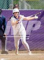 Photo from the gallery "St. Francis @ Franklin"