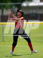 Photo from the gallery "St. Francis @ Franklin"