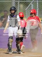 Photo from the gallery "St. Francis @ Franklin"