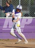 Photo from the gallery "St. Francis @ Franklin"
