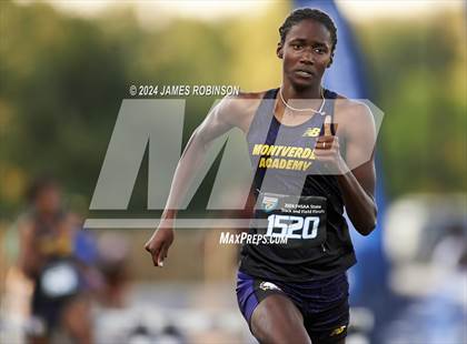 Thumbnail 1 in FHSAA 2A Finals (400 Meter Hurdles) photogallery.
