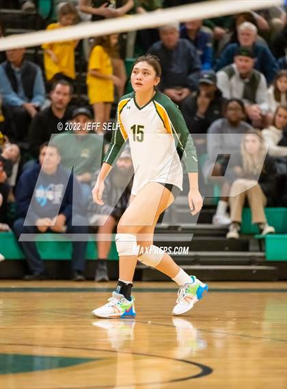 Thumbnail 2 in First Colonial @ Cox (VHSL Class 5 State Semifinal) photogallery.