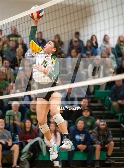 Thumbnail 3 in First Colonial @ Cox (VHSL Class 5 State Semifinal) photogallery.