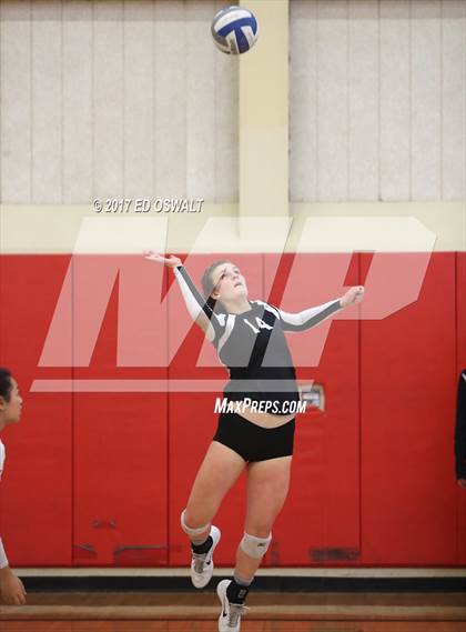 Thumbnail 2 in Branson vs. Albany (Cougar Challenge) photogallery.
