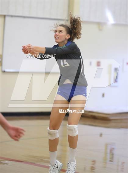Thumbnail 1 in Branson vs. Albany (Cougar Challenge) photogallery.