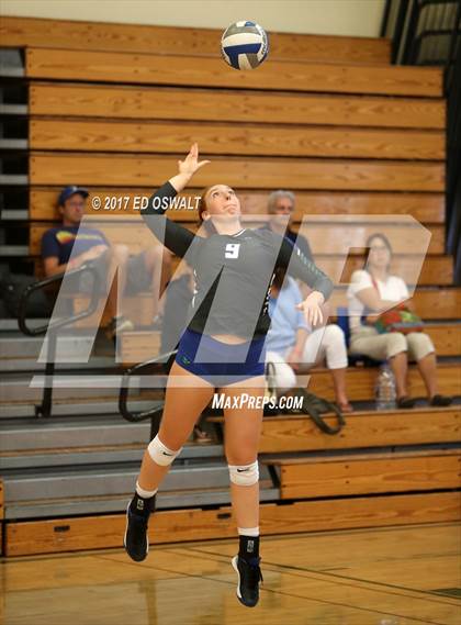 Thumbnail 2 in Branson vs. Albany (Cougar Challenge) photogallery.
