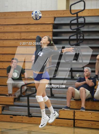 Thumbnail 3 in Branson vs. Albany (Cougar Challenge) photogallery.