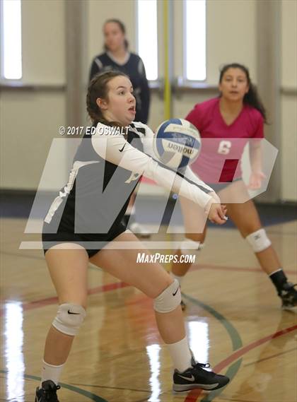 Thumbnail 1 in Branson vs. Albany (Cougar Challenge) photogallery.