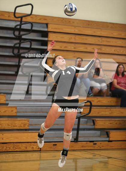Thumbnail 3 in Branson vs. Albany (Cougar Challenge) photogallery.