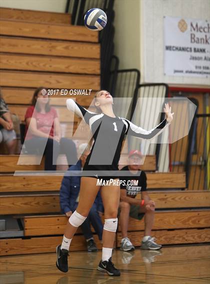 Thumbnail 1 in Branson vs. Albany (Cougar Challenge) photogallery.
