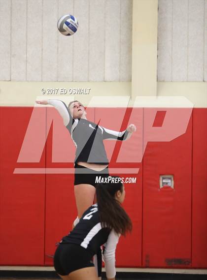 Thumbnail 1 in Branson vs. Albany (Cougar Challenge) photogallery.