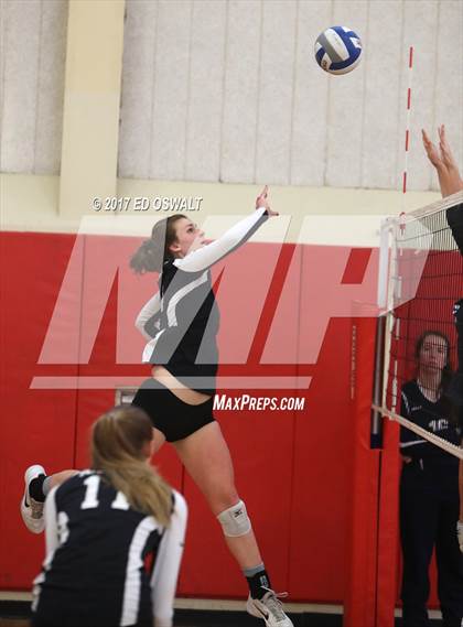 Thumbnail 3 in Branson vs. Albany (Cougar Challenge) photogallery.