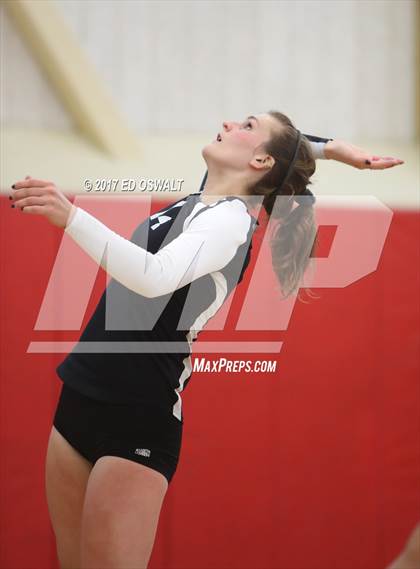 Thumbnail 2 in Branson vs. Albany (Cougar Challenge) photogallery.