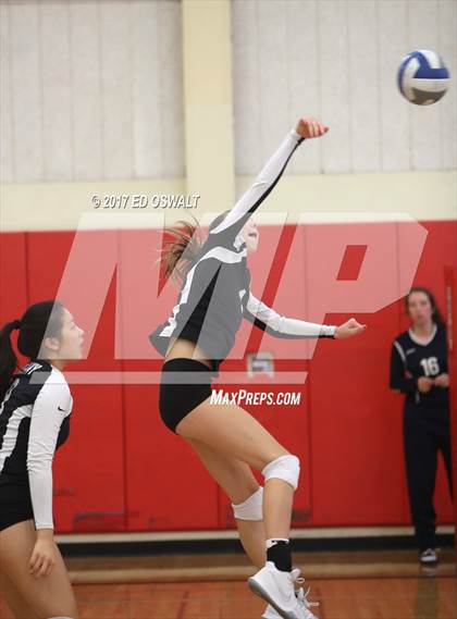 Thumbnail 3 in Branson vs. Albany (Cougar Challenge) photogallery.