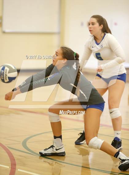 Thumbnail 2 in Branson vs. Albany (Cougar Challenge) photogallery.