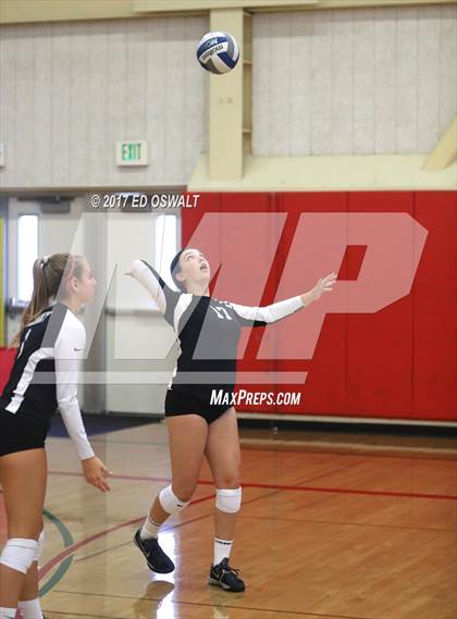 Thumbnail 1 in Branson vs. Albany (Cougar Challenge) photogallery.