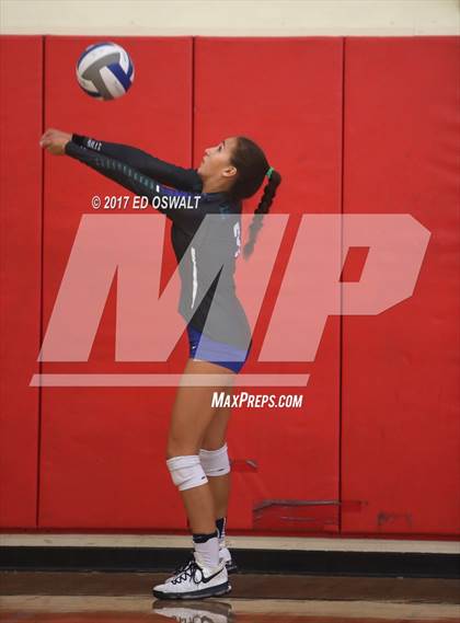 Thumbnail 1 in Branson vs. Albany (Cougar Challenge) photogallery.