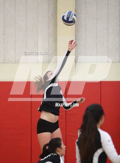 Thumbnail 2 in Branson vs. Albany (Cougar Challenge) photogallery.