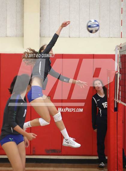 Thumbnail 1 in Branson vs. Albany (Cougar Challenge) photogallery.