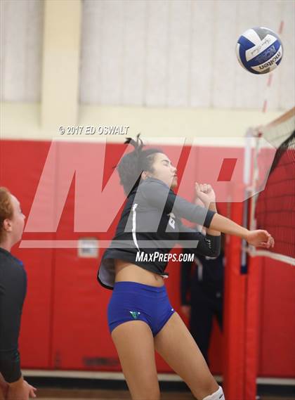 Thumbnail 3 in Branson vs. Albany (Cougar Challenge) photogallery.