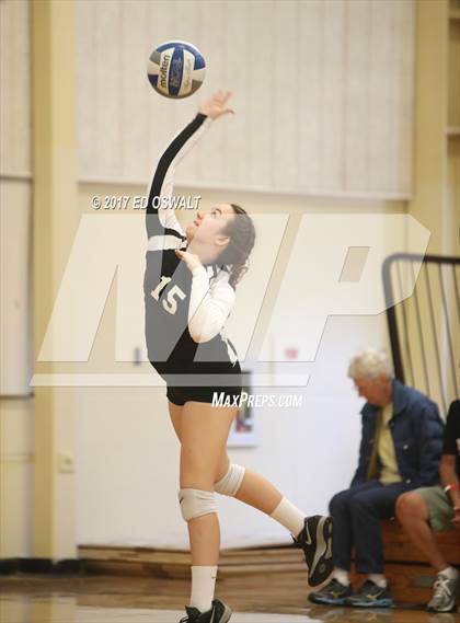 Thumbnail 2 in Branson vs. Albany (Cougar Challenge) photogallery.