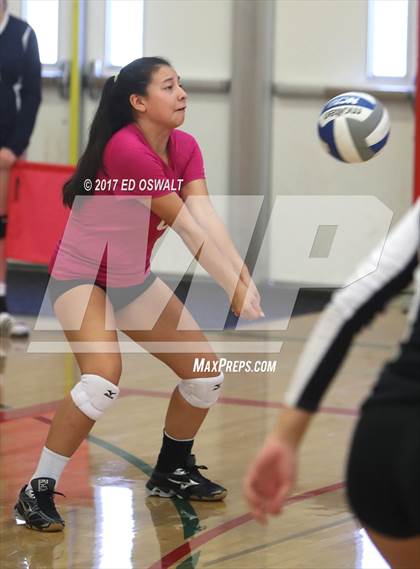 Thumbnail 3 in Branson vs. Albany (Cougar Challenge) photogallery.