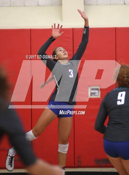 Thumbnail 1 in Branson vs. Albany (Cougar Challenge) photogallery.