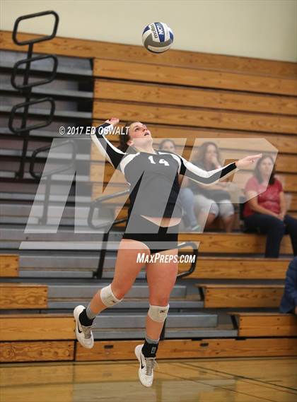 Thumbnail 1 in Branson vs. Albany (Cougar Challenge) photogallery.