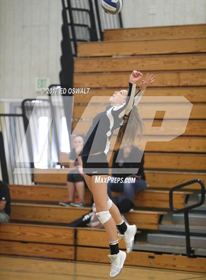 Thumbnail 2 in Branson vs. Albany (Cougar Challenge) photogallery.