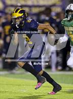Photo from the gallery "Roosevelt @ Sunnyside"