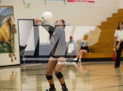 Thumbnail 3 in Ralston Valley vs Legacy (CHSAA 5A Playoff) photogallery.