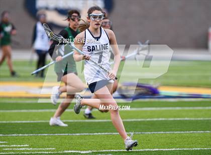 Thumbnail 2 in Novi @ Saline photogallery.