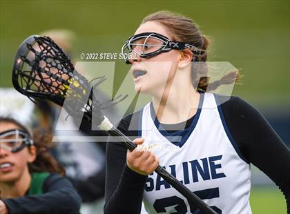 Thumbnail 3 in Novi @ Saline photogallery.
