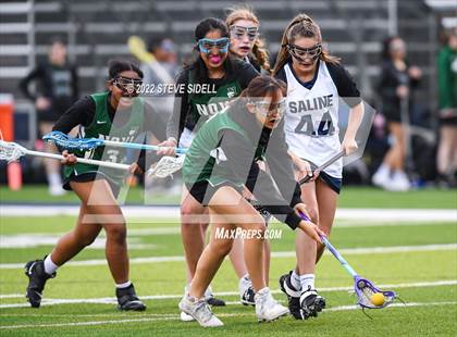 Thumbnail 3 in Novi @ Saline photogallery.