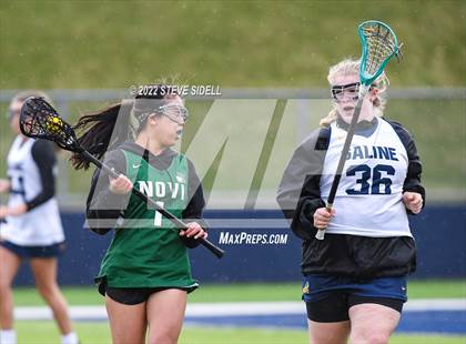 Thumbnail 3 in Novi @ Saline photogallery.