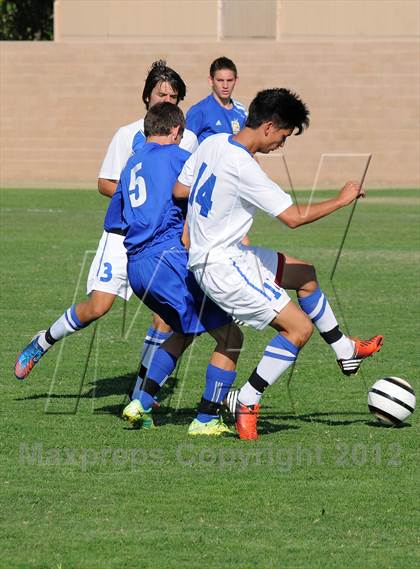 Thumbnail 2 in Del Campo @ Christian Brothers photogallery.