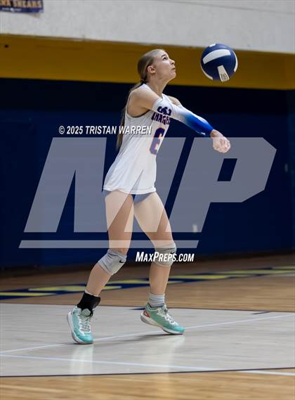 Thumbnail 3 in Southaven @ Olive Branch photogallery.